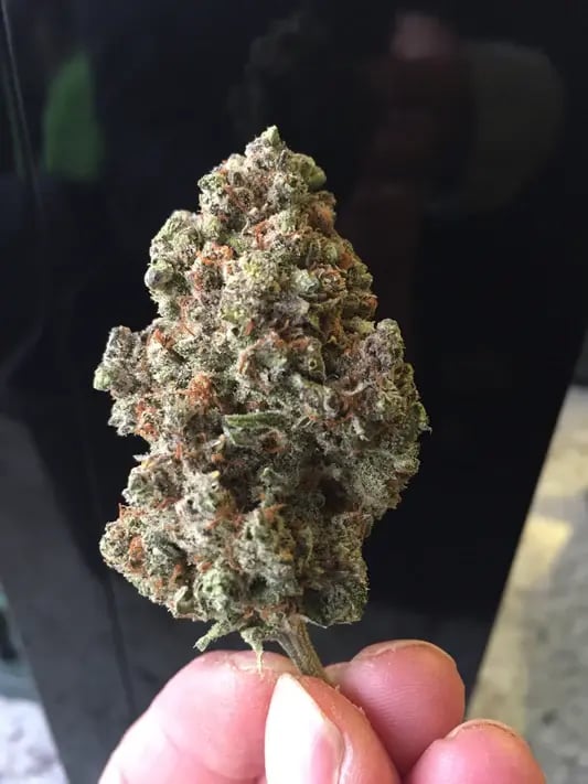 GreenBroz trimmed hemp or cannabis bud 1