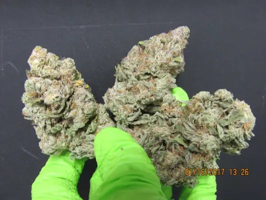 GreenBroz trimmed hemp or cannabis bud 4