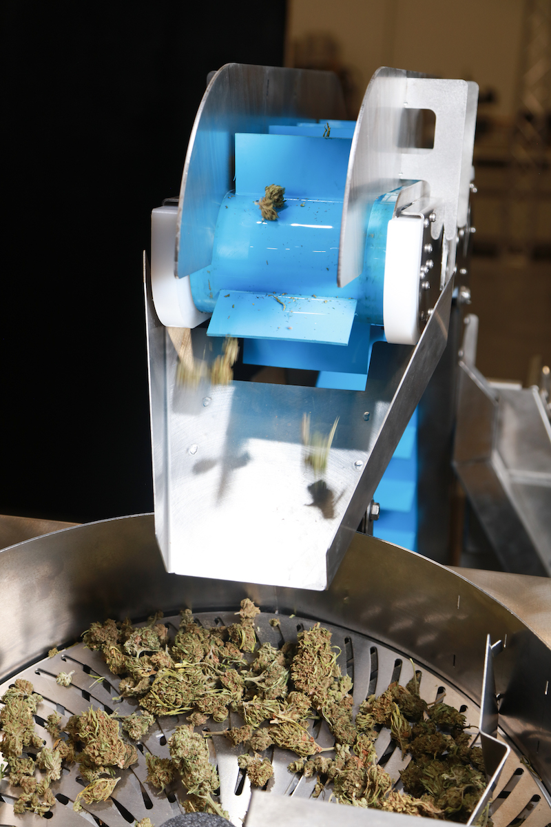 GreenBroz Rise Conveyor Feeding Cannabis Trimmer